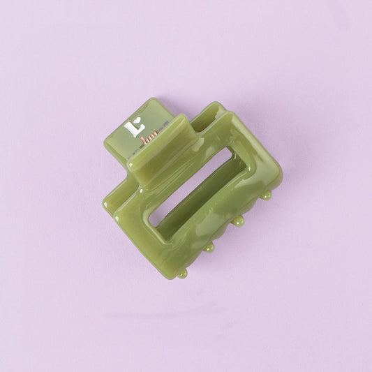 Précommande barrette cheveux Pistache