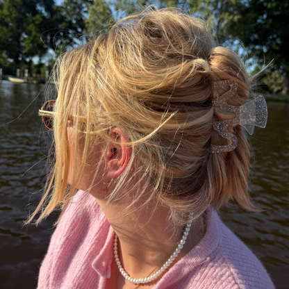 Paillettes de haarclip